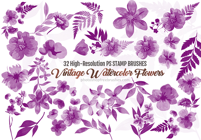 32 vintage watercolor flower brushes