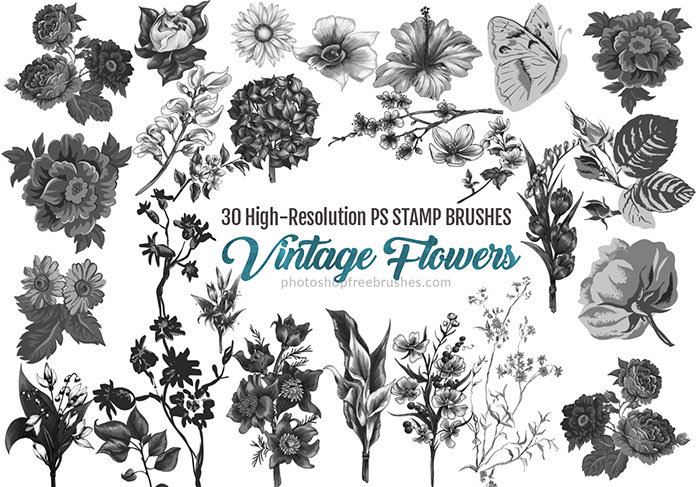 600 beautiful floral photoshop brushes