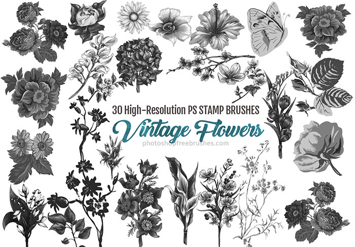 vintage watercolor flowers brushes